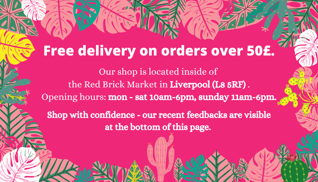 Green Charm House of Plants quality house plants Shop in Liverpool