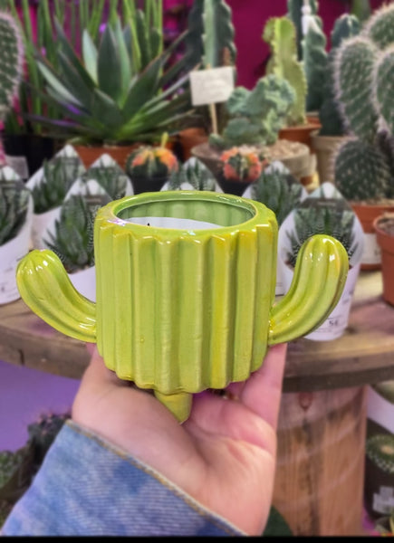 Cactus Shape Ceramic Plant Pot Home Decor Planter