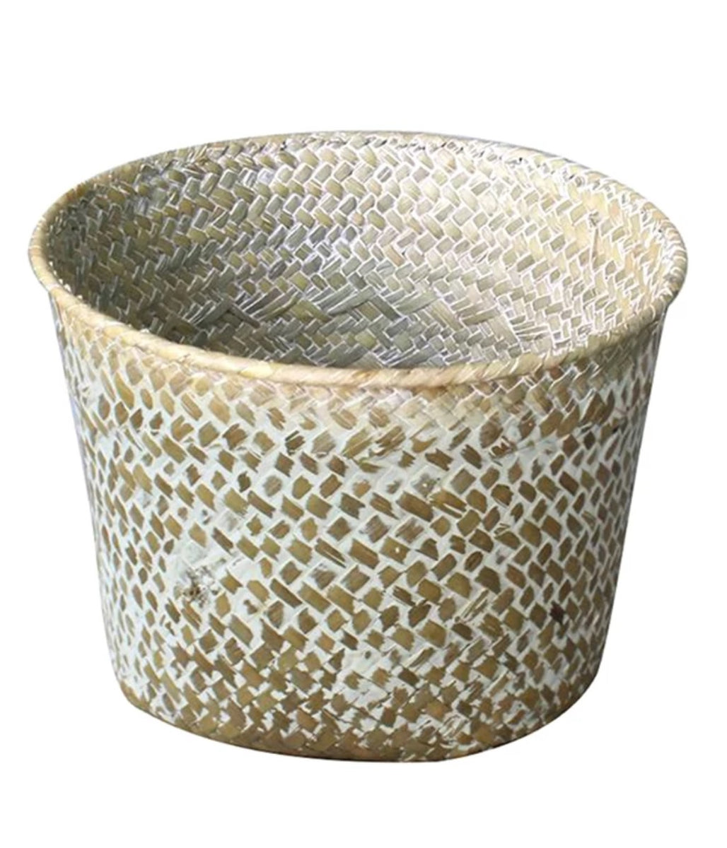 Seagrass Baskets Pot Covers ϕ15cm x h13cm Green Charm House of Plants