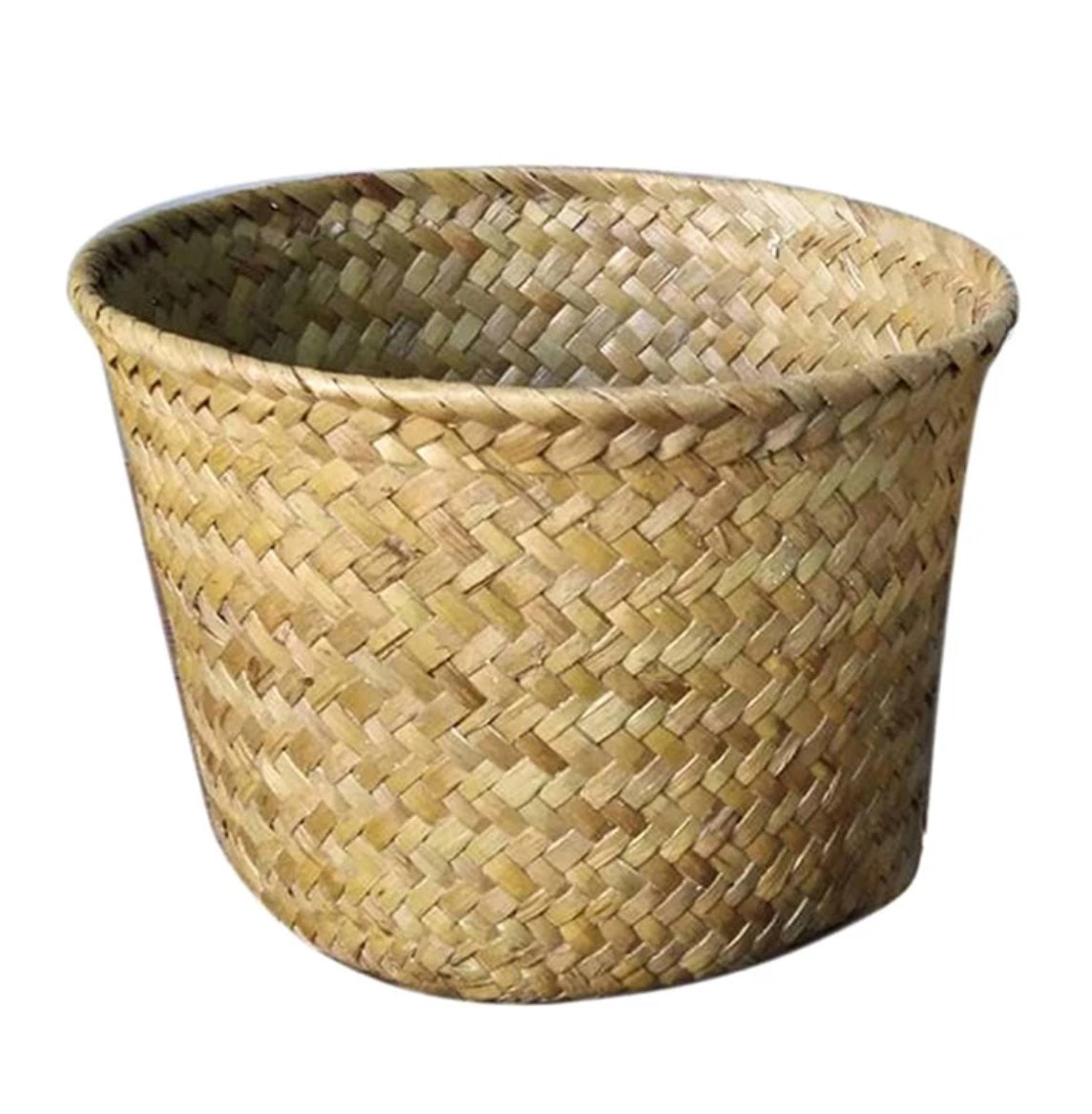Seagrass Baskets Pot Covers ϕ15cm x h13cm Green Charm House of Plants