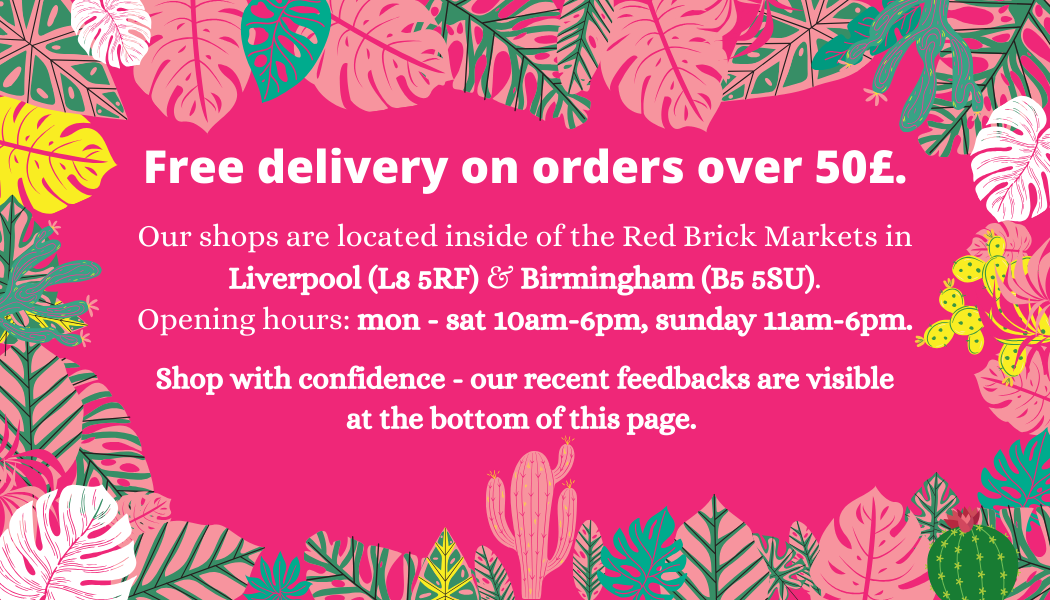 Green Charm House of Plants quality house plants Shop in Liverpool