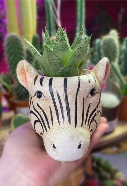 Animal Shape Plant Pot Home Decor Planter 8cm