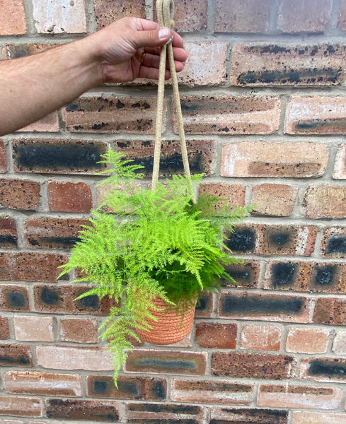 Handmade Wowen Hanging Basket 14cm x 60cm