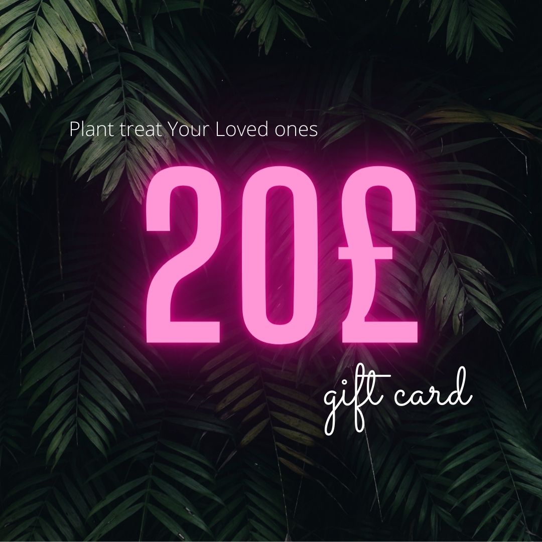 E-gift card idea 20£-100£