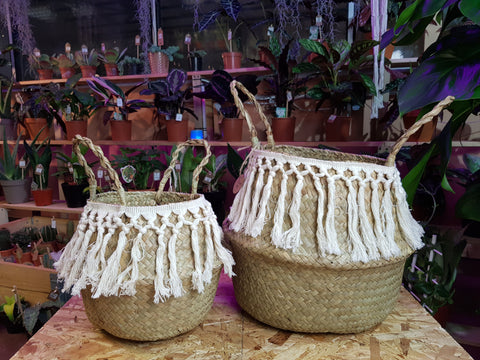 Handmade Seagrass Baskets with tassle