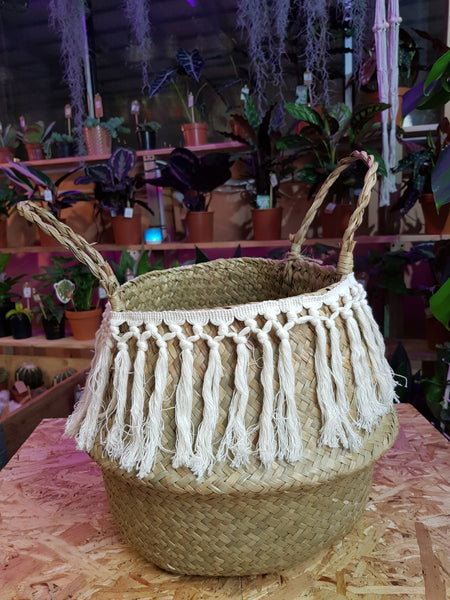 Handmade Seagrass Baskets with tassle