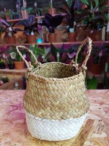 Seagrass Baskets white small