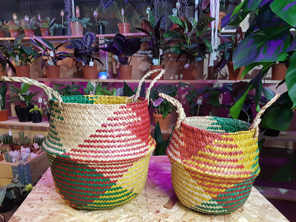 Seagrass Baskets mixed colour