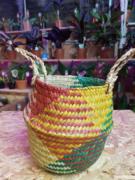 Seagrass Baskets mixed colour