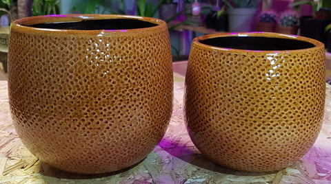 Ceramic Mustard Pots  ϕ-10.5cm - ϕ-13cm
