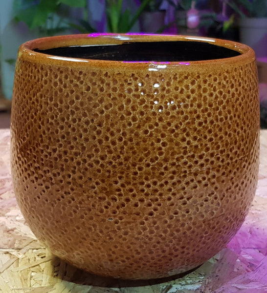 Ceramic Mustard Pots  ϕ-10.5cm - ϕ-13cm