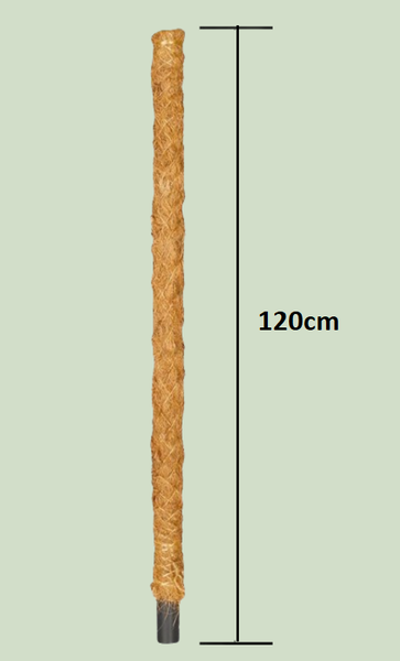 Moss Pole For Indoor Climbing Plant Coco Coir Pole House Plant Support 50-120cm