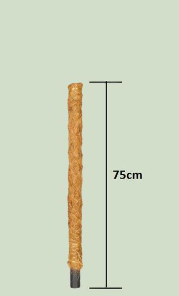 Moss Pole For Indoor Climbing Plant Coco Coir Pole House Plant Support 50-120cm