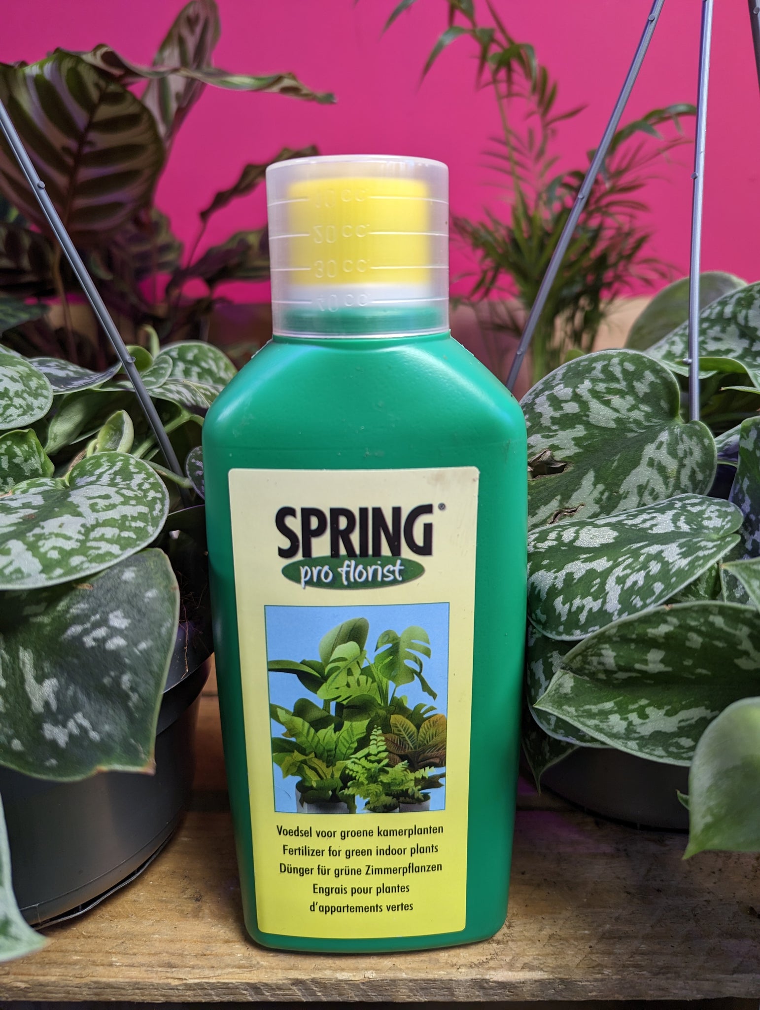House Plants Fertilizer for green indoor Plants 500 ml