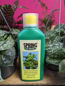 House Plants Fertilizer for green indoor Plants 500 ml