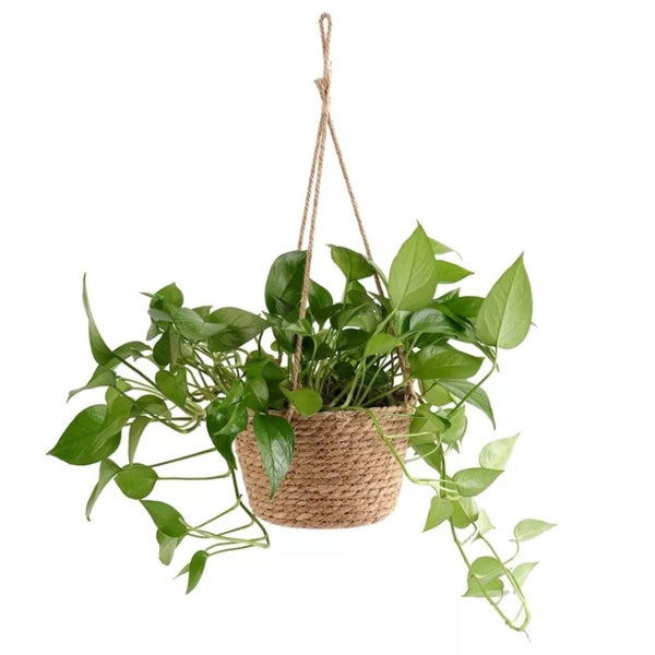 Handmade Jute Hanging Basket for hanging trailing plants 19cm wide