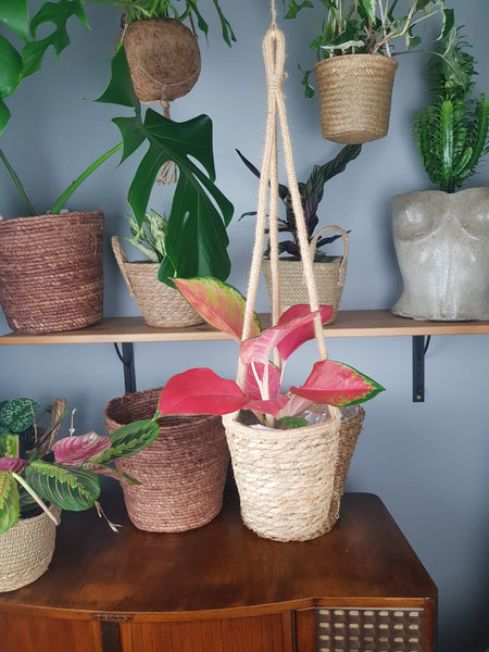 Jute Hanging Basket Planter