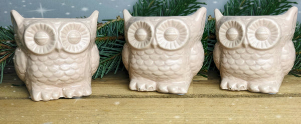 Set of 3 Winter Ceramic Owl Shape Plant Pot Christmas Gift
