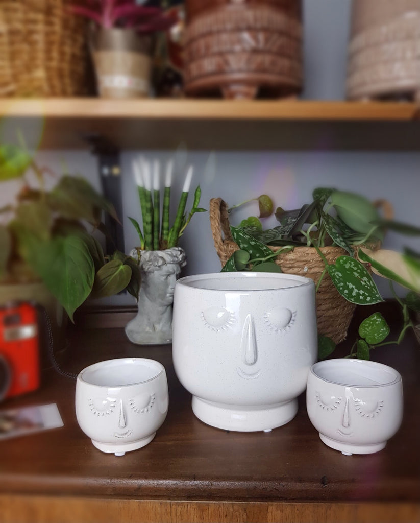 face plant pot uk Face Shape Ceramic Plant Pot Home Decor Planter – Green Charm House of Plants