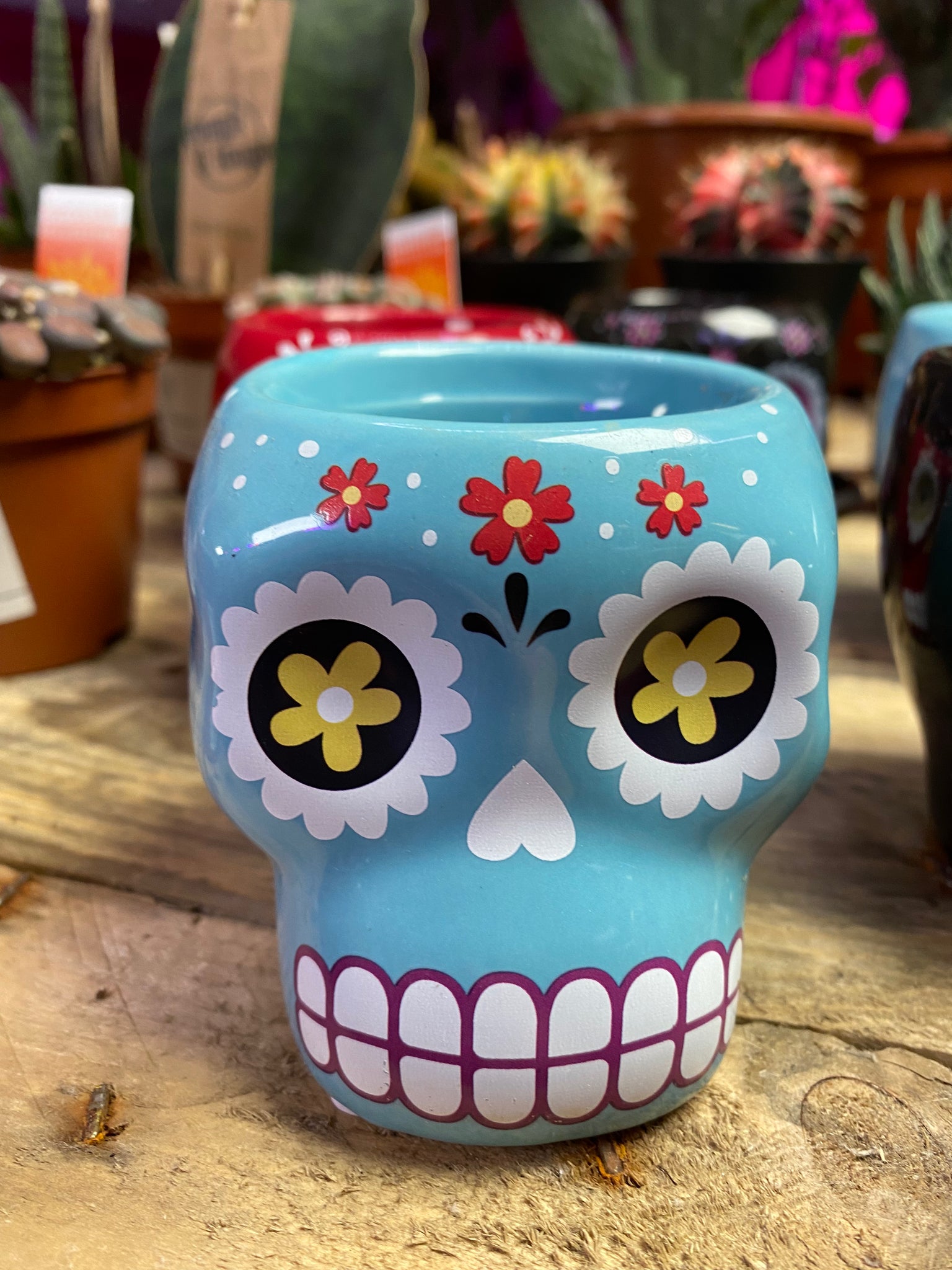 sugar skull planter pot Mexican Skull Shape Plant Pot Home Decor Planter – Green Charm House of Plants