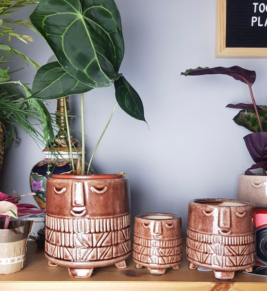 Family Ceramic Face Brown Plant Pot 3 Pcs Set