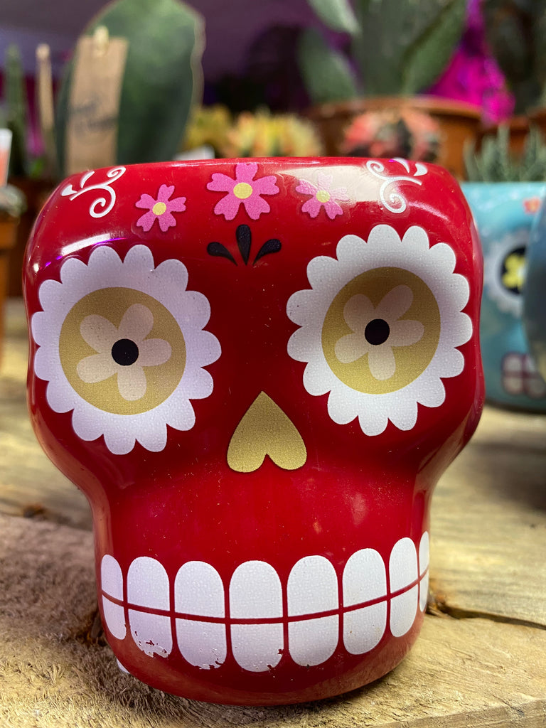Vaso Fiori A Forma Di Teschio In Resina – Decorazione Gotica Per Piante Grasse, Accessorio Per Casa, Ufficio E Feste Halloween