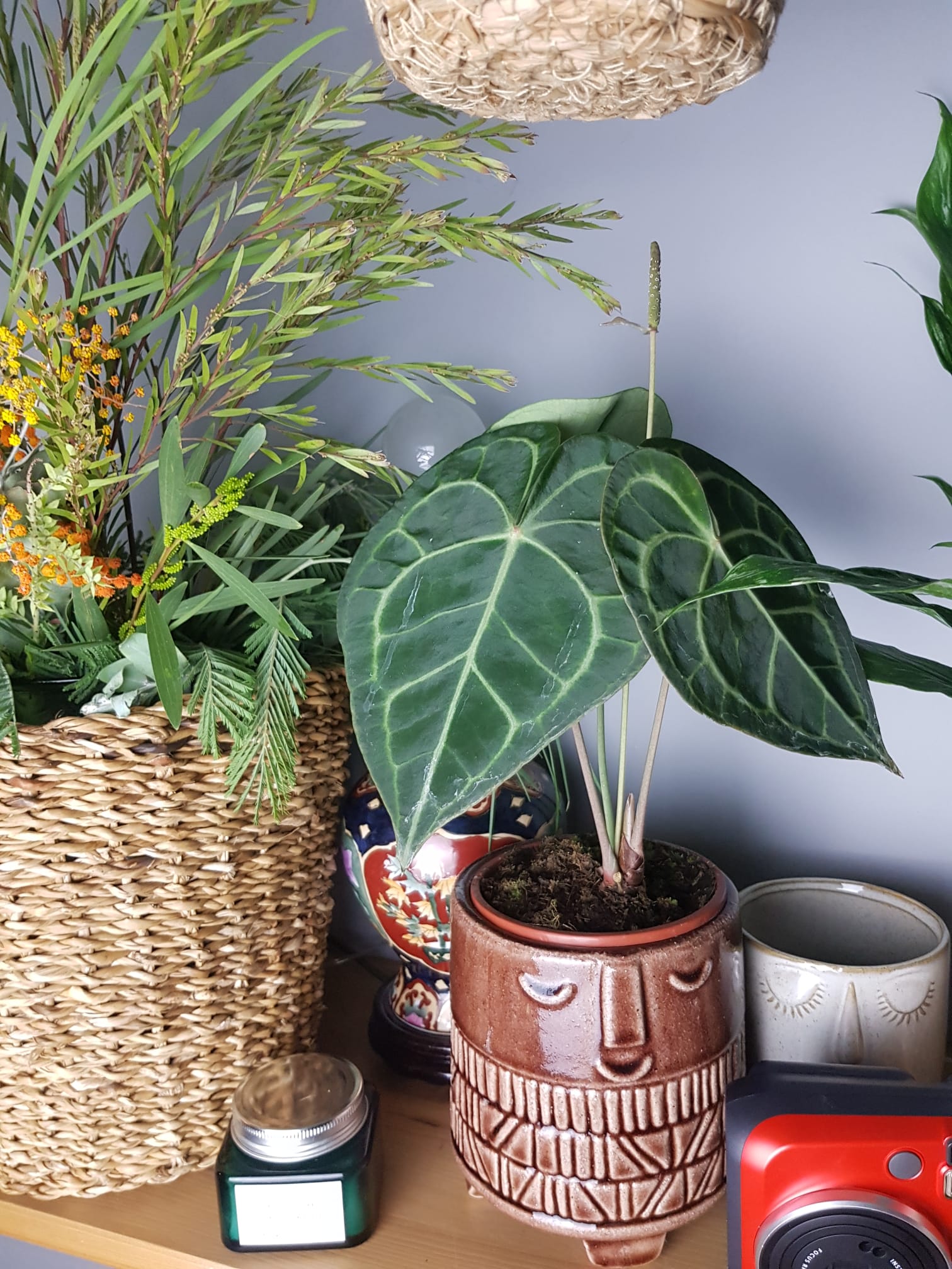 Family Ceramic Face Brown Plant Pot 3 Pcs Set