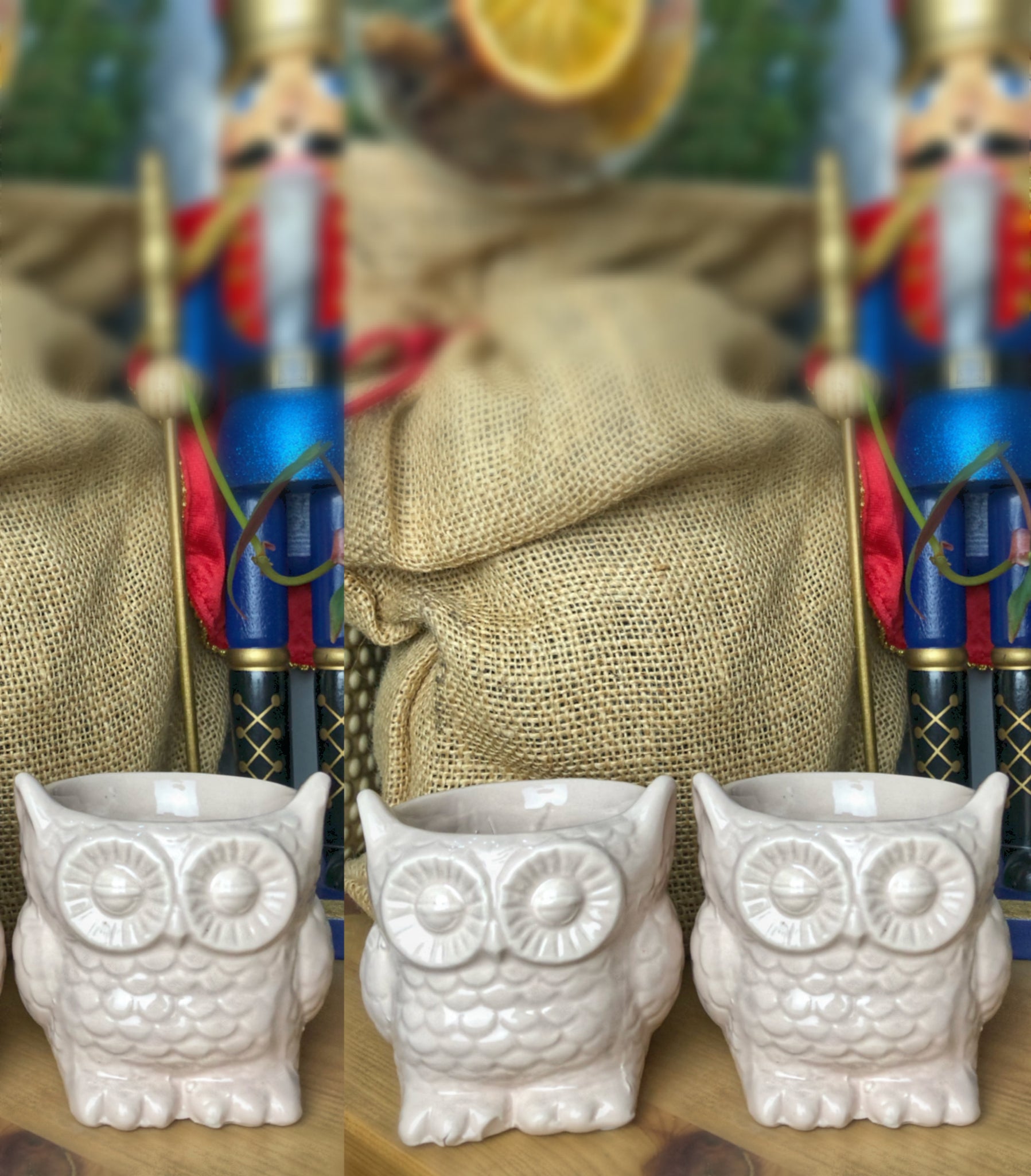 Set of 3 Winter Ceramic Owl Shape Plant Pot Christmas Gift