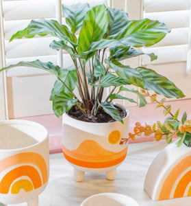 raised house plant pot Sunset Ceramic Planter Pot on Legs Raised – Green Charm House of Plants