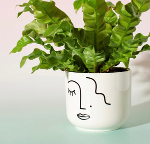 Minimalistic Style Abstract Face Planter White