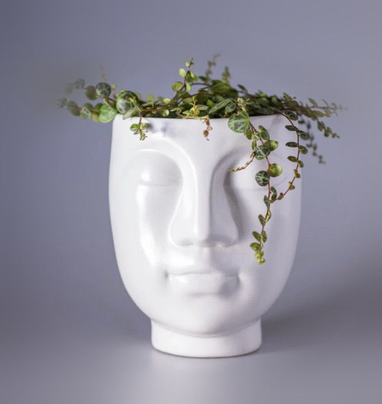 face shaped plant pots Face Shape Ceramic Plant Pot, Vase – Green Charm House of Plants