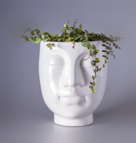 Face Shape Ceramic Plant Pot, Vase