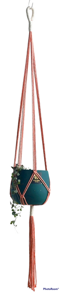 Hand Made Colourfull Cotton Macrames Plant Hangers